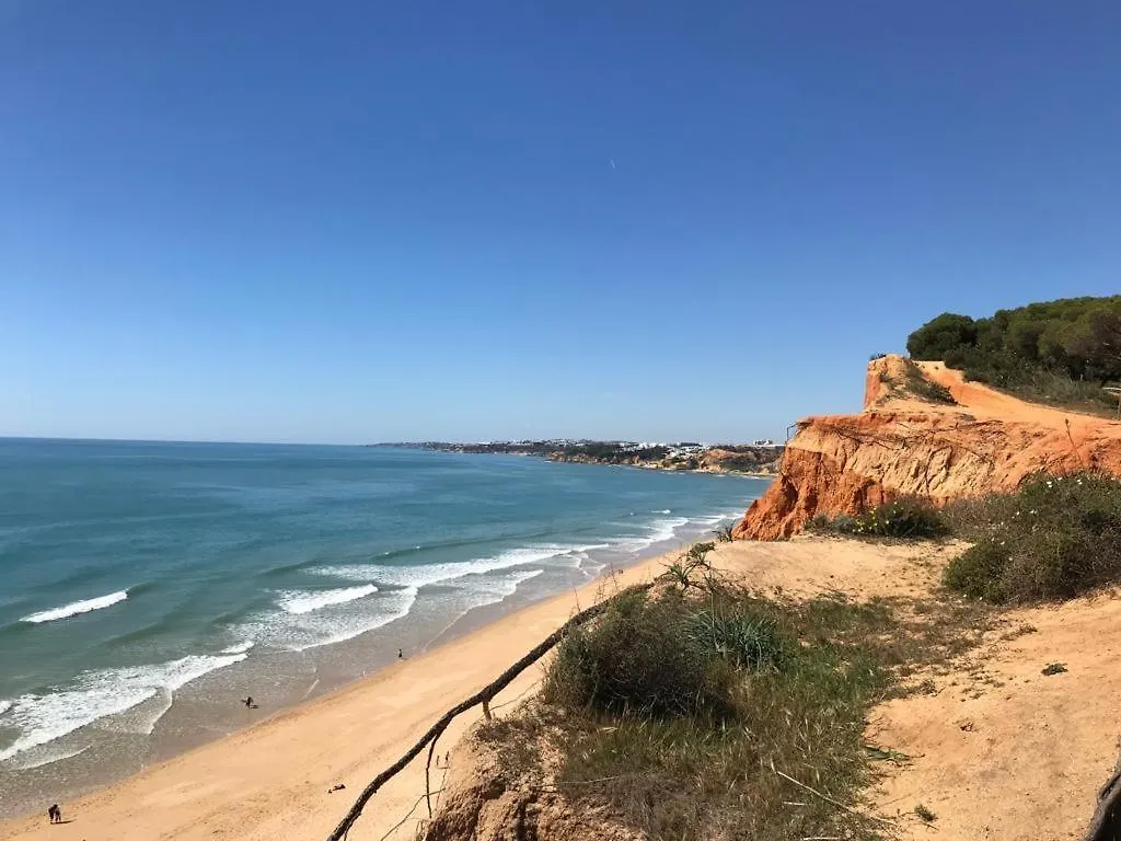 Jardins Do Golf, Val Do Lobo Lejlighed Almancil